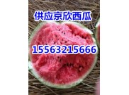 15563215666薄皮西瓜批發(fā)價(jià)格