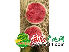 遼寧新民梁山西瓜🍉現(xiàn)以大量上市-梁山西瓜批發(fā)