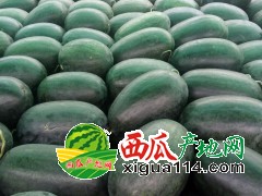 2019年湖北襄陽(yáng)優(yōu)質(zhì)黑美人8424西瓜基地代辦