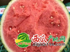 2019年浙江溫嶺西瓜代辦【麒麟、8424.美都西瓜產(chǎn)地】