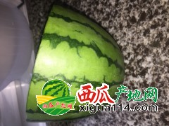 湖南麒麟西瓜，正宗8424西瓜代辦產(chǎn)地