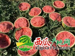 2019年東北西瓜代辦[吉林代辦產(chǎn)地]邵立平