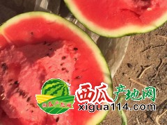 山東濰坊昌樂(lè)精品甜王西瓜價(jià)格行情@濰坊西瓜代辦