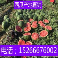 甜王西瓜價格行情15266676002山東省西瓜批發(fā)