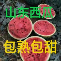 甜王西瓜最新價(jià)格