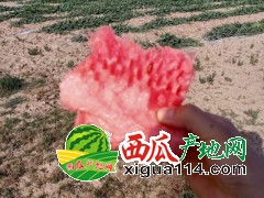 2020年甘肅西瓜/甘肅西瓜產(chǎn)地[甘肅硒砂瓜石頭瓜產(chǎn)地]