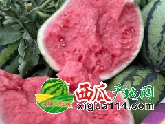 河南夏邑麒麟西瓜產(chǎn)地供應(yīng)（河南西瓜代辦代收）