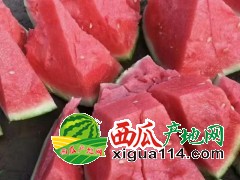 今天商丘夏邑西瓜大掉價@產(chǎn)地種植@代辦基地聯(lián)系方式