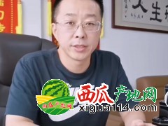 【推薦】吉林省洪磊西瓜代辦